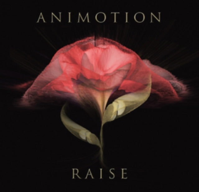 ANIMOTION | RAISE YOUR EXPECTATIONS | VINYL RECORD (LP)