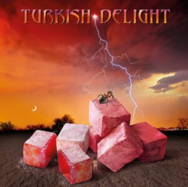 TURKISH DELIGHT | VOLUME ONE (2LP) | VINYL RECORD (LP)
