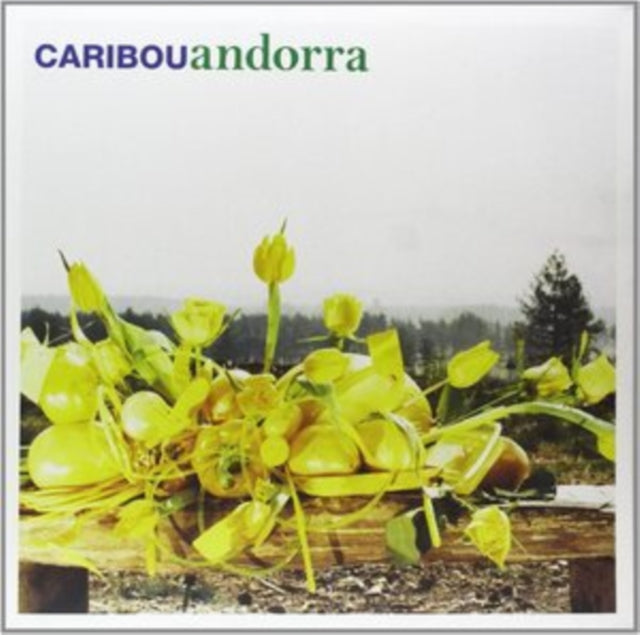 CARIBOU | ANDORRA | VINYL RECORD (LP)