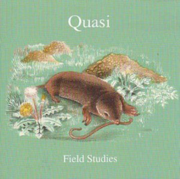 FIELD STUDIES (BLANK D-SIDE) | VINYL RECORD (LP)