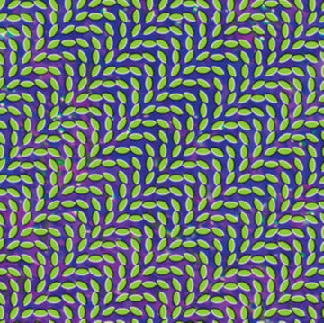 MERRIWEATHER POST PAVILLION | VINYL RECORD (LP)