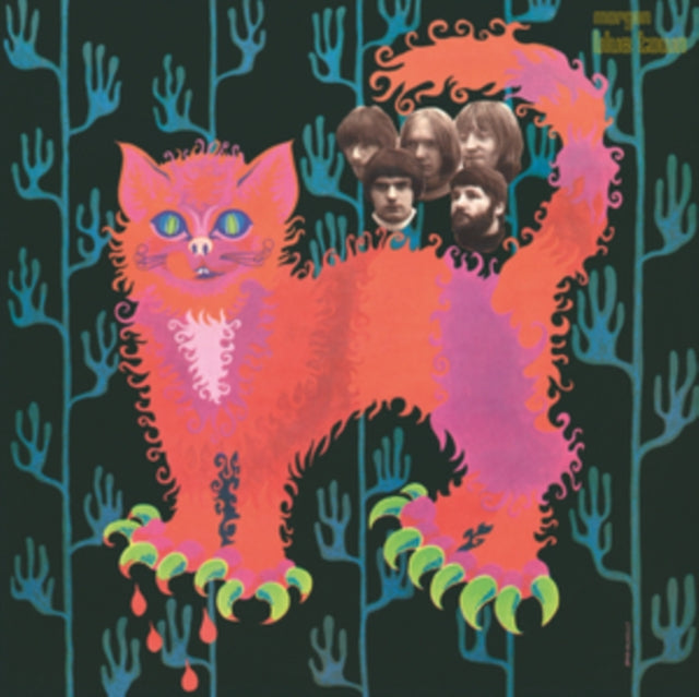 PUSSY | PUSSY PLAYS (PINK VINYL) | VINYL RECORD (LP)