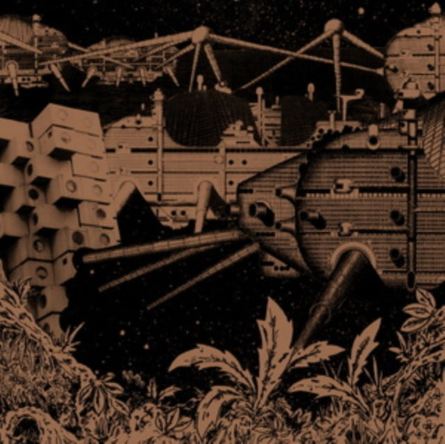 GREG FOAT GROUP | DARK IS THE SUN | VINYL RECORD (LP)