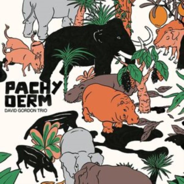GORDON, DAVID TRIO | PACHYDERM | VINYL RECORD (LP)