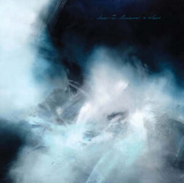 HOW I BECAME A WAVE | VINYL RECORD (LP)