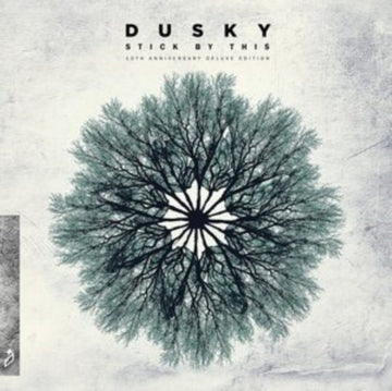 STICK BY THIS (10TH ANNIVERSARY DELUXE EDITION) (LIGHT GREY VINYL) | VINYL RECORD (LP)