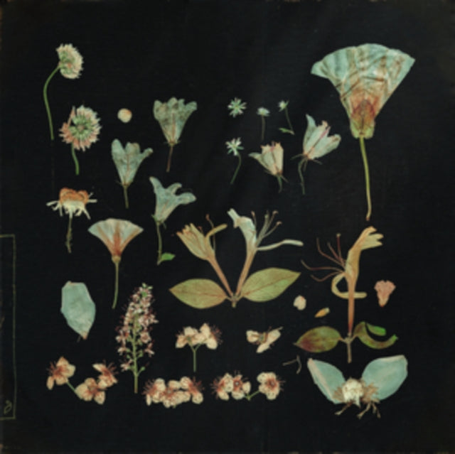 LEAVING LAUREL | WHEN THE QUIET COMES (2LP) | VINYL RECORD (LP)