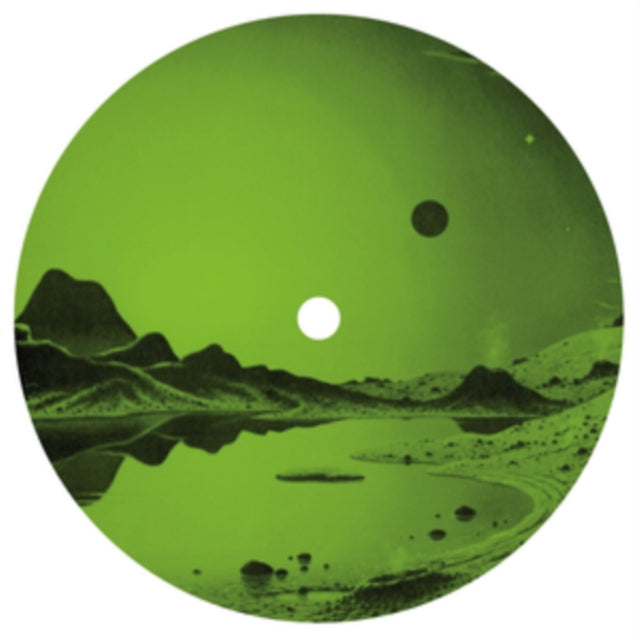 GREG FOAT GROUP | GIRL & ROBOT WITH FLOWERS - REMIXES | VINYL RECORD (LP)