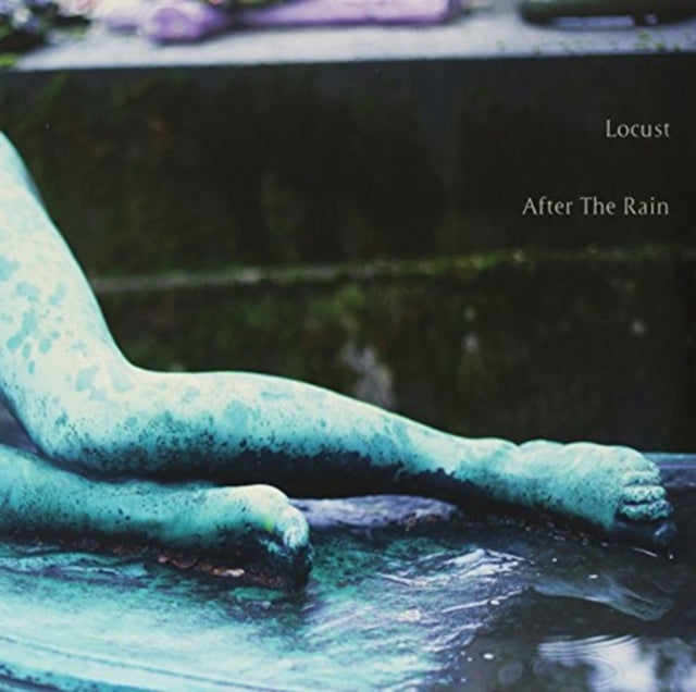 LOCUST | AFTER THE RAIN | VINYL RECORD (LP)