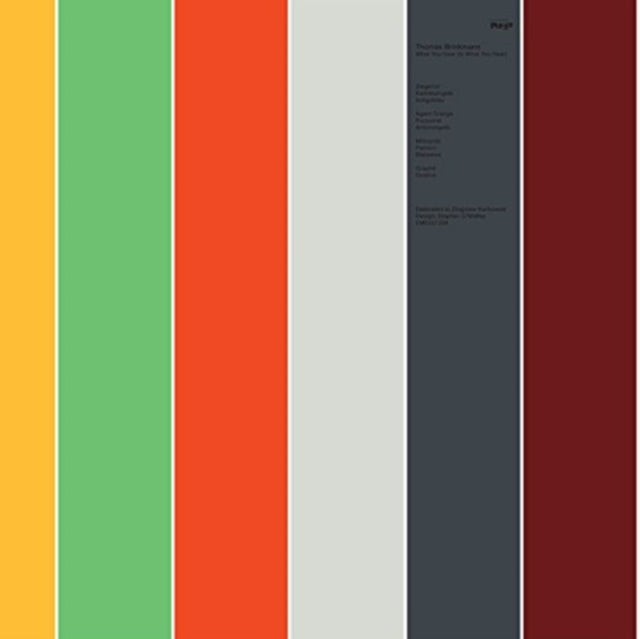 BRINKMANN, THOMAS | WHAT YOU HEAR (IS WHAT YOU HEAR) (2LP) | VINYL RECORD (LP)