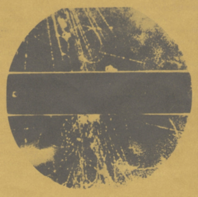 CONTAINER | LP | VINYL RECORD (LP)