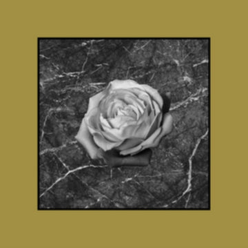 NOTHING LEFT | VINYL RECORD (LP)