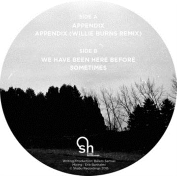 APPENDIX | 12IN VINYL