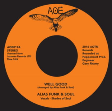 WELL GOOD | 7IN VINYL