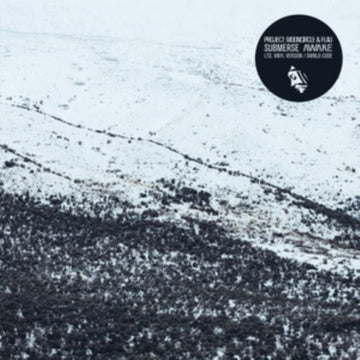 SUBMERSE | AWAKE | VINYL RECORD (LP)