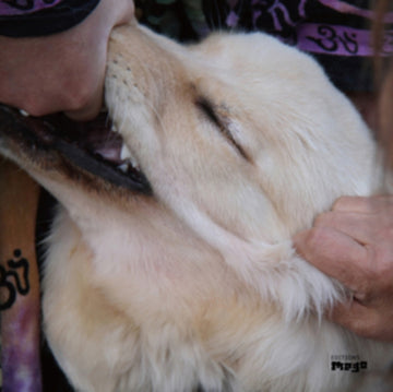 FENNESZ, CHRISTIAN / O'ROURKE, JIM | IT'S HARD FOR ME TO SAY I'M SORRY | VINYL RECORD (LP)
