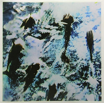 HEAVENTASTE | VINYL RECORD (LP)