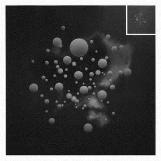 TAGEN, JUNG AN | DAS FEST DER REICHEN | VINYL RECORD (LP)