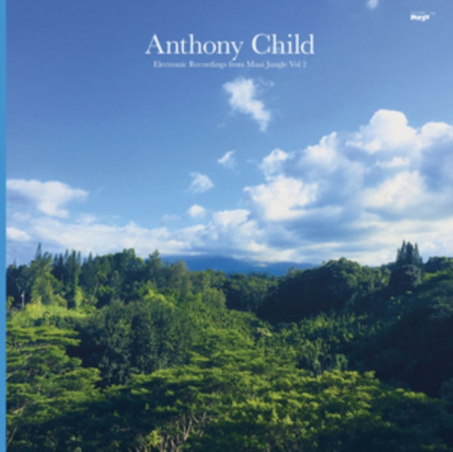 CHILD, ANTHONY | ELECTRONIC RECORDINGS FROM MAUI JUNGLE VOL.2 | VINYL RECORD (LP)
