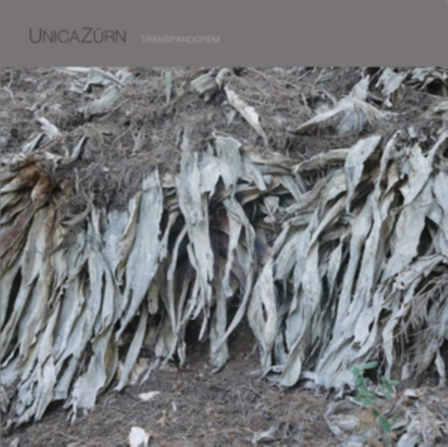 UNICAZURN | TRANSPANDOREM | VINYL RECORD (LP)