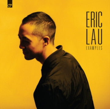 EXAMPLES | VINYL RECORD (LP)
