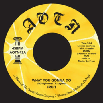 WHAT YOU GONNA DO | 7IN VINYL