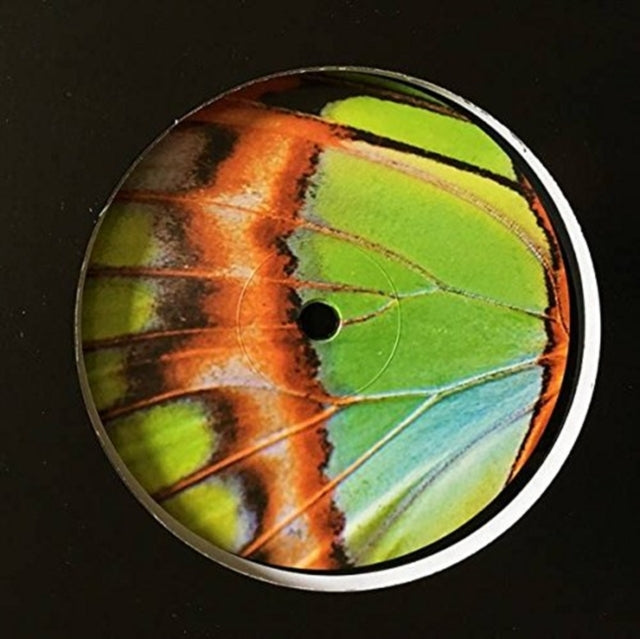 PEARSON SOUND | ROBIN CHASING BUTTERFLIES | VINYL RECORD (LP)
