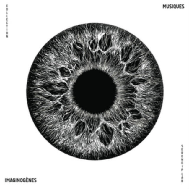 VORTEX, BILL | MUSIQUES IMAGINOGNES VOL.1 | VINYL RECORD (LP)