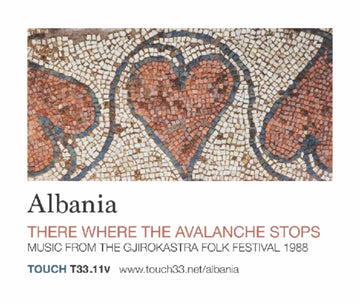VA | THERE WHERE THE AVALANCHE STOPS | VINYL RECORD (LP)