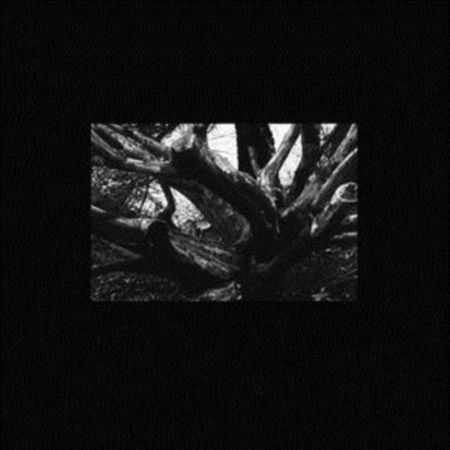 R.A.N. | SEB-I YELDA | 12IN VINYL