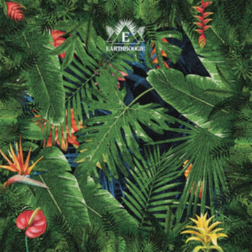 HUMAN CALL (2LP) | VINYL RECORD (LP)