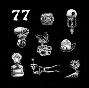 77: A BRIEF LANDING ON THE EARTH'S SURFACE (IMPORT) | VINYL RECORD (LP)