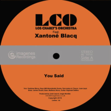 YOU SAID (IMPORT) | 7IN VINYL