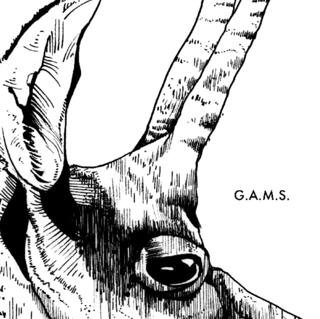 G.A.M.S. | G.A.M.S. | VINYL RECORD (LP)