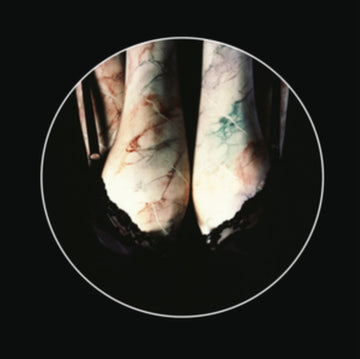 RENALDO & THE LOAF | ELBOW IS TABOO/ELBONUS | VINYL RECORD (LP)