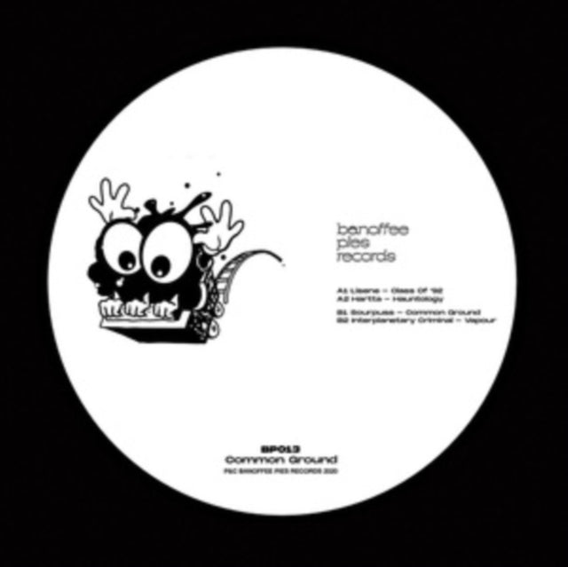 VARIOUS ARTISTS | COMMON GROUND | 12IN VINYL