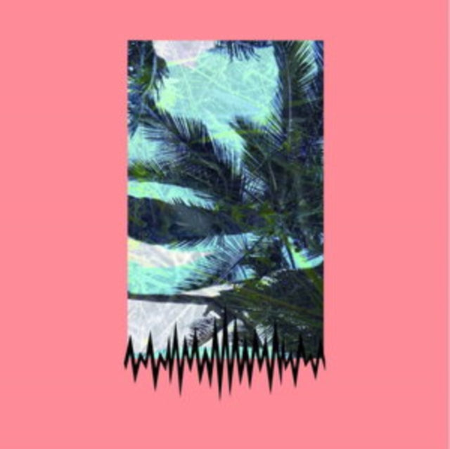 MAXIMIN, BERANGERE | LAND OF WAVES | VINYL RECORD (LP)