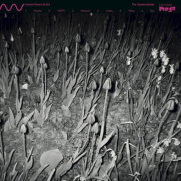 CUCINA POVERA & ELS | OYSTERCATCHER | VINYL RECORD (LP)