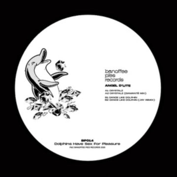 DOLPHINS HAVE SEX FOR PLEASURE (IMPORT) | 12IN VINYL