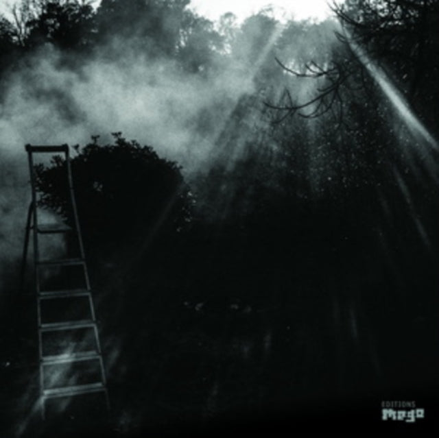 FRIEDL, REINHOLD & ERYCK ABECASSIS | ANIMAL ELECTRIQUE | VINYL RECORD (LP)