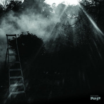 FRIEDL, REINHOLD & ERYCK ABECASSIS | ANIMAL ELECTRIQUE | VINYL RECORD (LP)