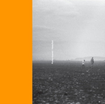 PORTICO QUARTET / HANIA RANI | 12IN VINYL