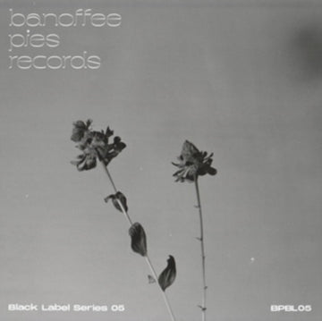 BLACK LABEL SERIES 05 (IMPORT) | 12IN VINYL