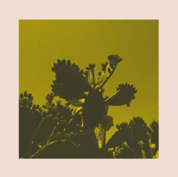 SLOW DANCE | 12IN VINYL