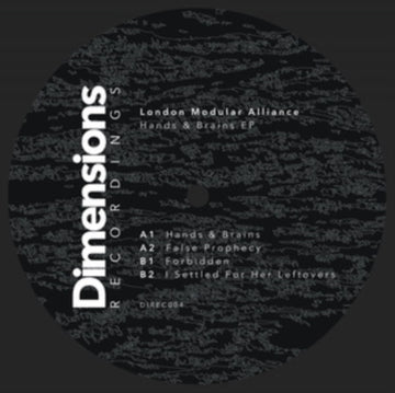 HANDS & BRAINS (IMPORT) | 12IN VINYL