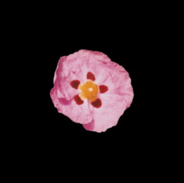 KIT GRILL | FRAGILE | MUSIC CASSETTE