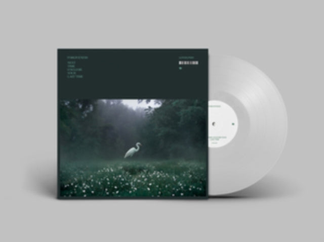FORGIVENESS | NEXT TIME COULD BE YOUR LAST TIME | VINYL RECORD (LP)