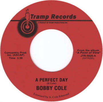 PERFECT DAY | 7IN VINYL