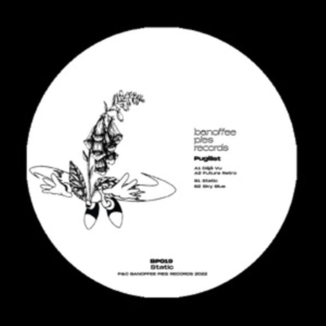 PUGILIST | STATIC | 12IN VINYL