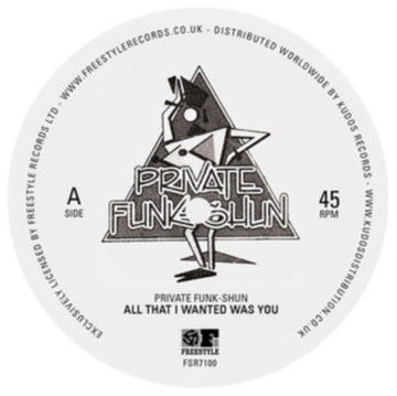 PRIVATE FUNK-SHUN | ALL THAT I WANTED WAS YOU/FANTASY | 7IN VINYL